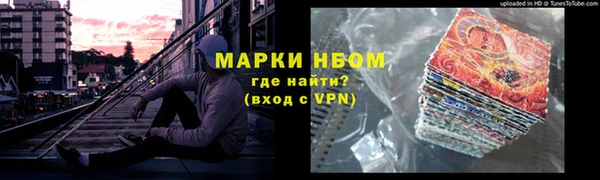 хмурый Бородино