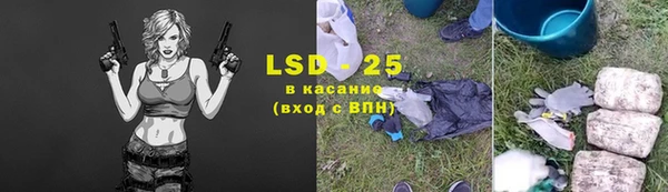 хмурый Бородино