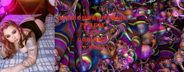 трава Богданович