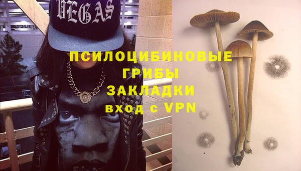 хмурый Бородино